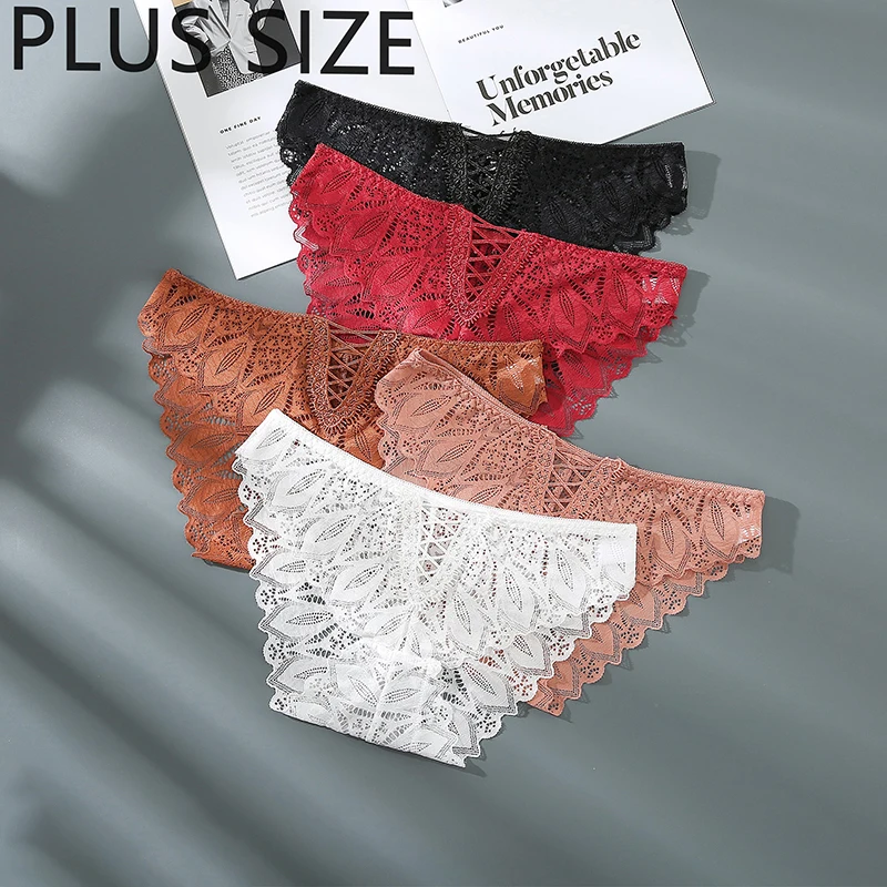 2X Women Lace Mesh Briefs Sheer Stretch Embroidery Sexy Lingerie