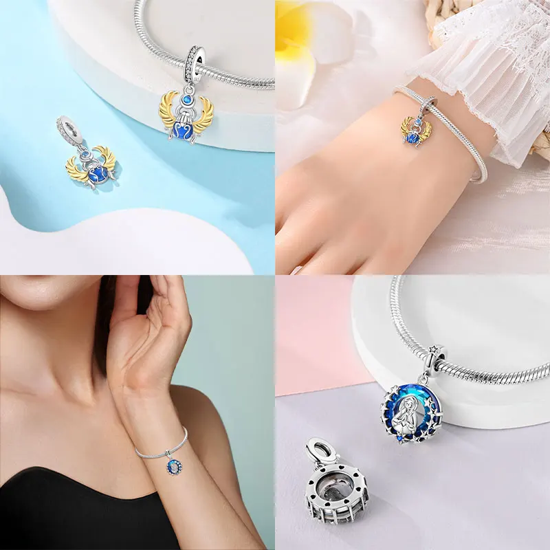 dsc-products