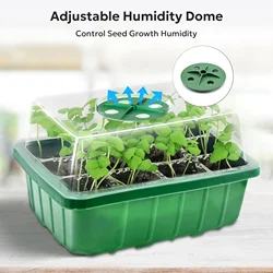 Seed Starter Tray Mini Greenhouse Germination Kit (Green)