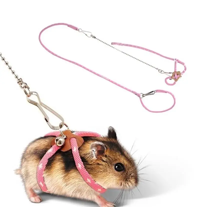 1 Pcs Hamster Tethering Leash Anti-Bite Breakaway Mouse Walking Belt For Outdoor Exercise And Interaction To Prevent Boredom