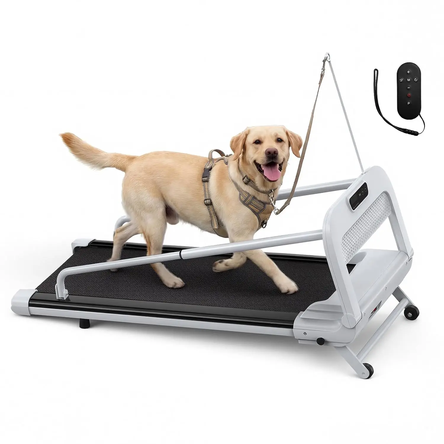 产品图片 1
