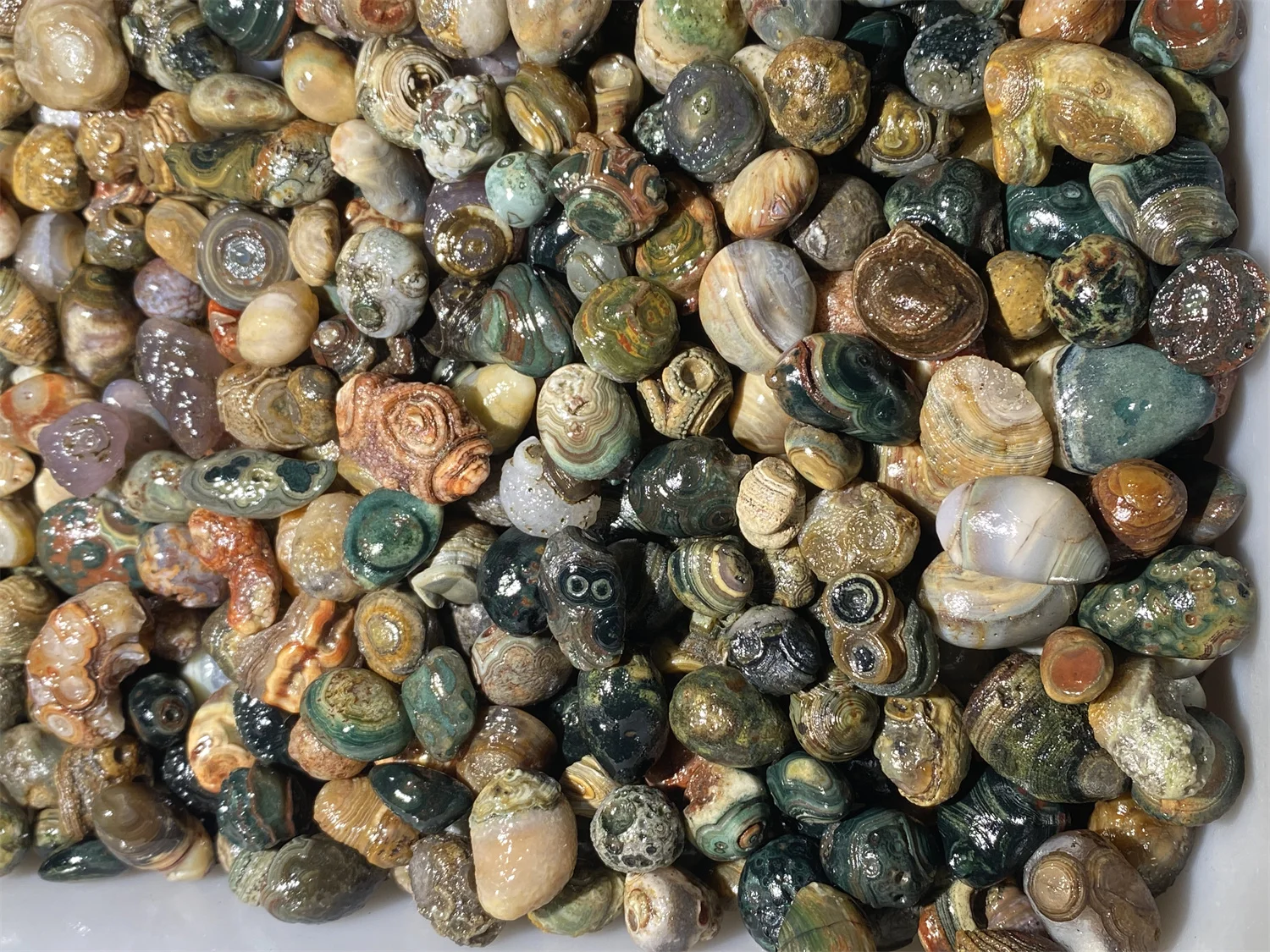 1kg/lot Rare Colorful Eye Stone Gobi Agate Non-Porous Bulk Rough Collectibles Miraculous strong energy amulet