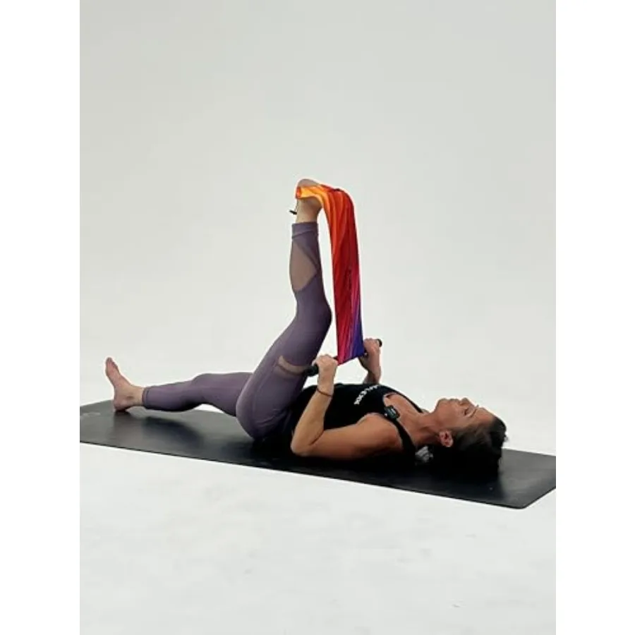 Mobility and Full Body Strengthening Device