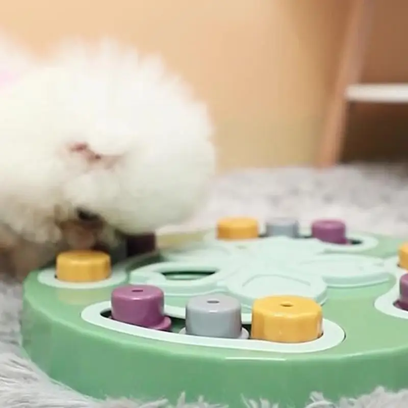 https://ae01.alicdn.com/kf/Sfff8d2342cd2432b92a44c4acd182299c/Puzzle-Push-Feeder-Dog-Treat-Toy-Interactive-Chase-Toys-Improves-Memory-Pet-Toy-Dog-Health-Training.jpg