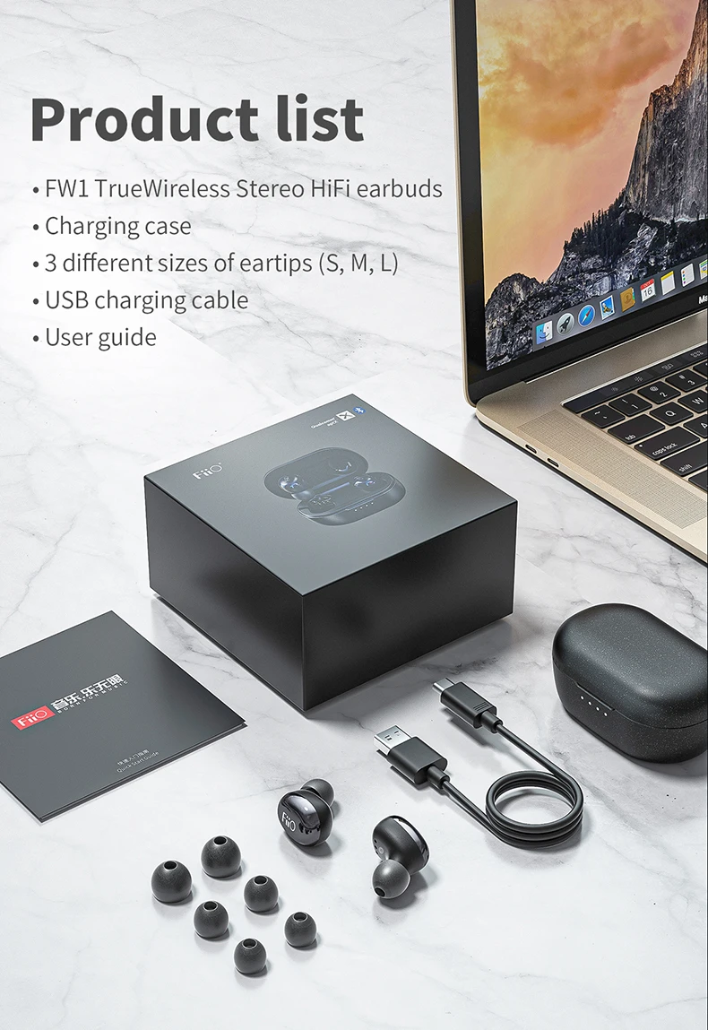 FiiO Refurbished FW1 True Wireless HiFi Earbuds, Pumping Bass, TWS Bluetooth V5.0 Headphones with aptX, 21 Hours Playtime