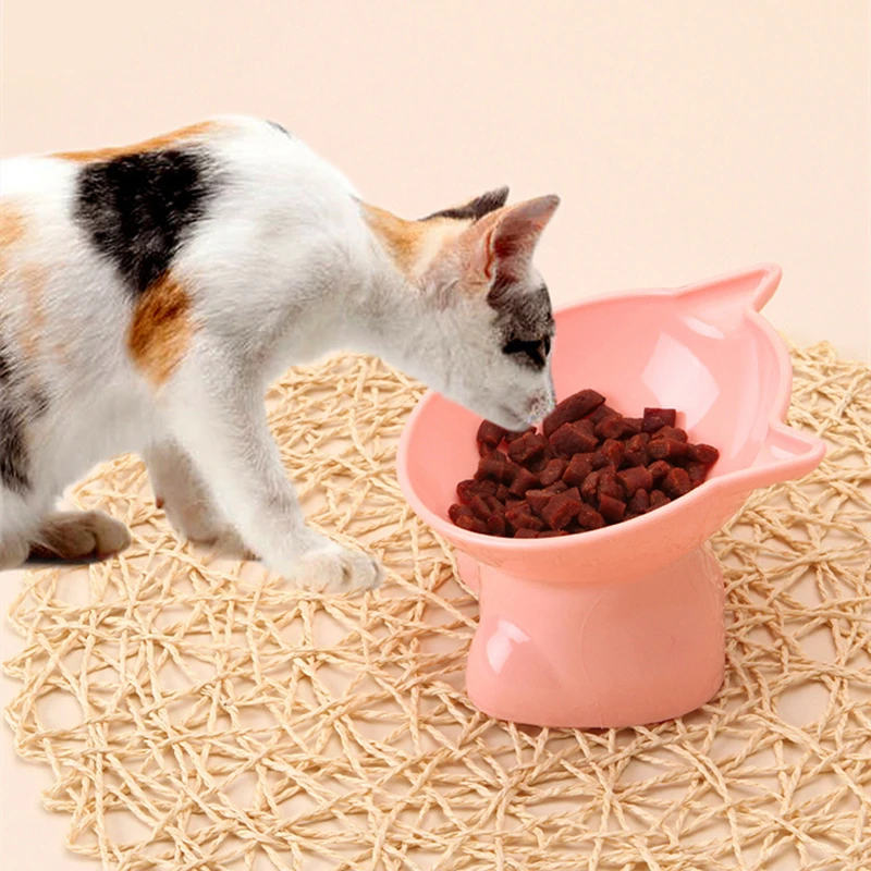  Ergonomic Cat Bowl, Cat Anti Vomit Food Bowl, Ergonomic Cat  Food Bowl, Cat Bowls Elevated Tilted, Elevated Cat Bowls, Anti-Fall Neck  Protection Cat Food Bowl (1*Blue) : Pet Supplies
