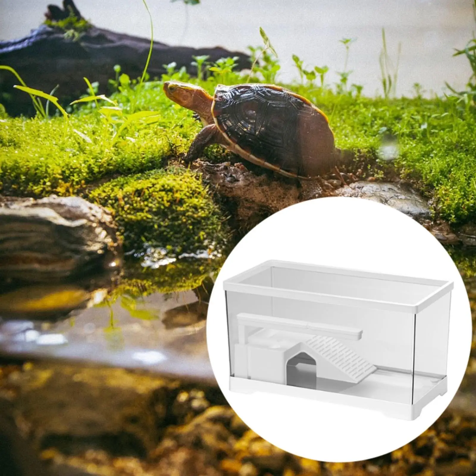 Turtle Tank Basking Ramp Breeding Tortoises Case Bottom Drainage Reptile Habitat Turtle Terrarium Turtle Habitat Indoor Decor