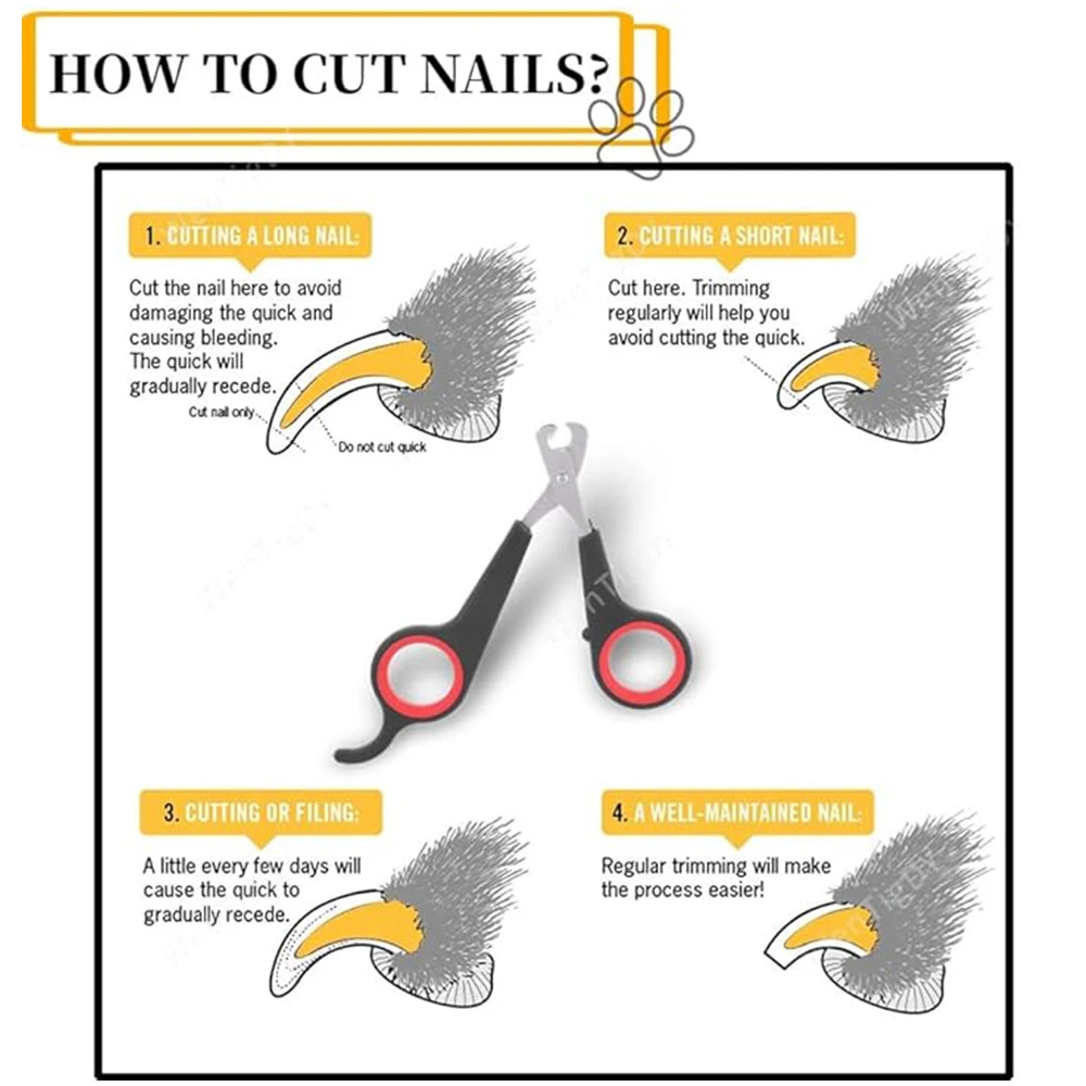 Pet Nail Claw Grooming Scissors Clippers for Dog Cat Gerbil Small Animals Newest Rabbit  Home Portable  Pet Products Accessories 3