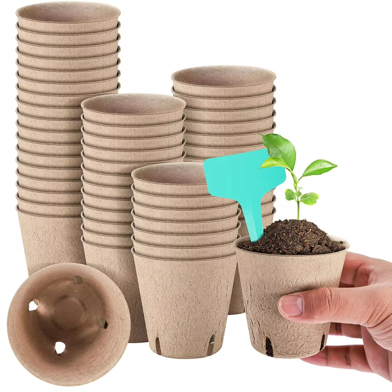 50 Packs 3 Inch Peat Pots Plant Starters Seedling with 15 Pcs Plant Labels Biodegradable Herb Seed Starter Pots Kits