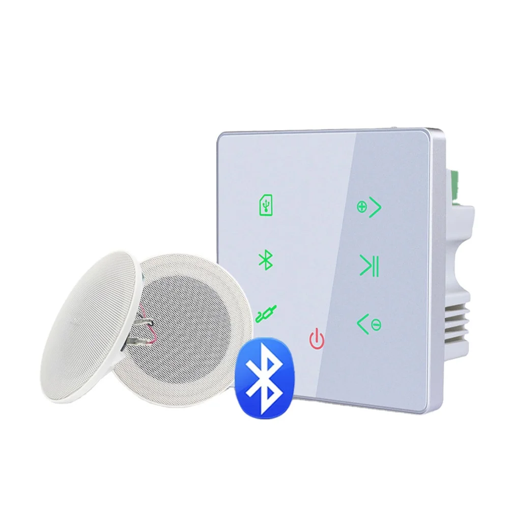 Blue-tooth Smart Home In Wall Amplifier Stereo Background Music System With Recessed Loudspeaker Suitable