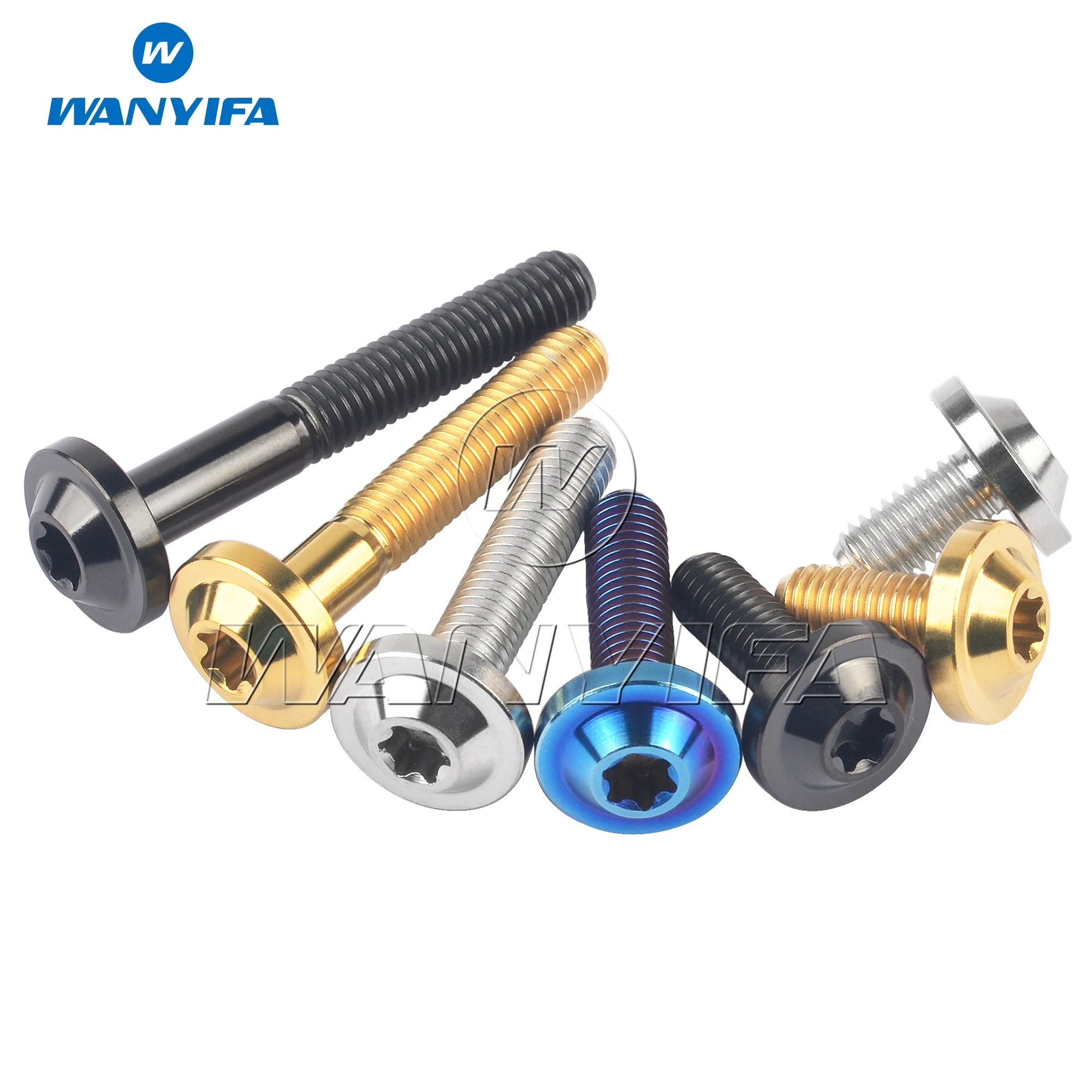 Titanium Ti Bolt M5x10/12/15/20/25/30/35mm Torx T25 Head Screws Ride Modification Fastener