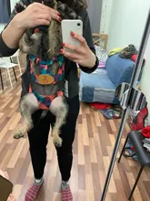 Transportador de mascotas para perros, malla para perros, productos de viaje para exterior, bolsas transpirables con asas para hombros para perros pequeños