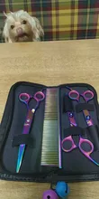 7 pulgadas tijeras de peluquería canina de acero inoxidable peine adelgazamiento gatos domésticos Barber tijeras de peluquería canina Kit para perros el corte de pelo
