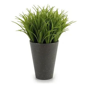 

Decorative Plant Ibergarden (9 x 18 x 9 cm) Plastic