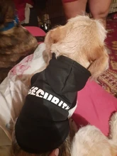 Seguridad ropa para gato mascotas abrigos para gato chaqueta sudaderas con capucha para los gatos traje cálido ropa para mascotas ropa de conejo Animales Mascotas traje para perros 30