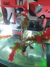 Aquarium-Accessories Decoration Materials Fish-Tank Artificial Green 20cm PVC Plants