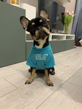 T-Shirt Cat Costume French Chihuahua Summer Fashion Cotton for Pet-Dog Letters-Printed