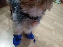 4 unidades/juego de zapatos de lluvia antideslizantes de Cachemira suave y cálida para mascotas, calzado suave a prueba de viento para perros y mascotas, zapatos impermeables antideslizantes