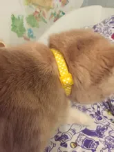 Colgante de campana de lentejuelas de nailon de colores collar ajustable para perro y gato, collar para cachorro y gatito con hebilla, accesorios para gatos, suministros para mascotas, 1 ud.