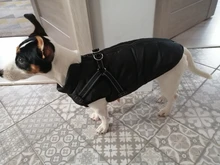 Pet-Dog-Jacket Harness Bulldog-Outfits Labrador Warm French Chihuahua Waterproof Large