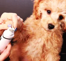 Pets-Clippers Hair-Trimmer Foot-Cutter Pet-Grooming-Kit Nail-Grinder Baorun Rechargeable