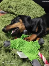 Encantador suministro de mascotas lindo Papa pato perro de peluche de juguete con cuerda de juguetes para perro nuevo