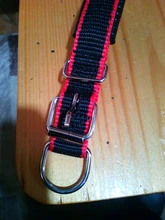 Leash Rope Pet-Collar Wholesale Lined Pet-Supplies Colorful New TECHOME Polypropylene