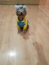 Outfit Jacket Hoodie Dog Warm Waterproof Winter Coat Splice Pet-Puppy 6-Colours 8-Sizes