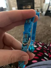 Collar de policarbonato para perros, hebillas ajustables con campana, correa para el cuello, suministros para mascotas, accesorios para perros pequeños, Chihuahua, Bulldogs, 1 unidad