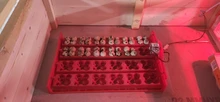 Incubadora automática de 24 huevos de gallina/96 huevos para aves, bandeja giratoria, incubadora de 220V/110V/12V