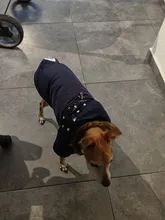 Pet-Dog-Clothes Clothing Coat Jacket Outfit Pets-Puppy-Costume French Bulldog Small Dogs