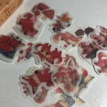 45 unids/pack de Fox zorro lindo y Hojas de arce de la etiqueta engomada de papel artesanías adhesivas palo etiqueta de la computadora portátil DIY decoración niños regalo de papelería