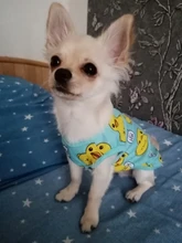 Camiseta de malla para gatos y cachorros, ropa bonita para mascotas, camiseta de dibujos animados de pato, chalecos informales para XS-XXL pequeñas