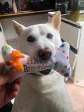 Dog-Toy Cupcake Chew Stuffed Interactive Plush-Birthday Squeaky Bite-Resistant Soft Cute