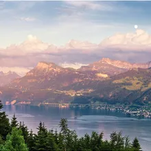 Шампунь Nexxt Professional ежедневный уход, 250 мл