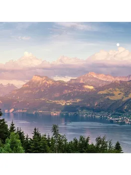 

Shampoo Nexxt Professional daily care, 250 ml