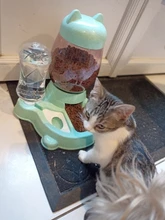 Automatic Feeder Bowl Food-Feeding-Container-Supplies 528ml-Bottle Drinking-Water Kitten