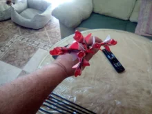 Flechas de fibra de vidrio para caza, pluma de flecha blanca para arco recurvo, tiro con arco, 31 pulgadas de diámetro, 6mm, 3 pulgadas, 2 Rojas, 1, 6 uds./12 Uds.