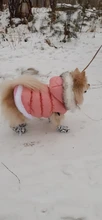 Dog Cat Winter Warm Coat Jacket Dress Pet Puppy Hoodie Winter Warm Clothes Apperal