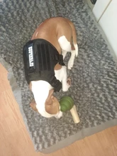 Conjunto de arnés y correa para perro táctico, chaleco para perro grande con hebilla de Metal, Pastor Alemán, arnés duradero para mascotas para entrenamiento de perros pequeños y grandes