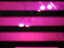 Phyto-Lamp Flower-Growth-Lighting Seedling Led Grow Cob-Chip Indoor-Plant Full-Spectrum