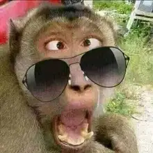 Ethernet-Adapter Power-Supply Poe-Injector Us-Eu-Wall-Plug 24V 24W 48V 12V for Cctv-Security-Camera