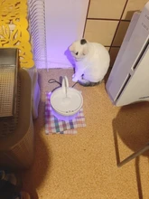 Fuente de Gato de 2L con luz azul, dispensador de agua automático alimentado por USB, alimentador de gatos, filtro de bebida para gatos y perros, proveedor de mascotas