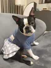 Dog-Dress Dogs-Skirt Yorkshires Chihuahau Winter Dot for Autumn