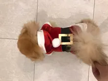 Costume Jackets Yorkie-Outfit Cat-Clothing Puppy Small Dogs Coat Hooded Pet-Dog Winter Dog