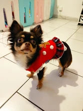 Costume Dog Shirt Dress Christmas Cat-Coat Couple for Small Cats Terrier Ropa Para Perro