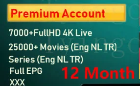 1 Year ESUNTV NoBox ESUNTV X96Mini FHD Нидерланды Великобритания Турецкая шведская IPTV приставка Испания Италия Германия нам CA XXX 7000 live 26000 VOD серии HD EPG поддержка - Цвет: 1 Year ESUNTV NoBox