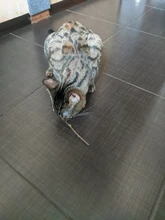 Hierba gatera Natural, juguete para gatos, pasta dental Molar, rama de limpieza de dientes, palillos de gato para aperitivo, 10/15/20/25/50 uds.