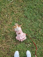 Warm Pet Dog Dress Vest Jacket For Dogs Cats Winter Chihuahua Yorkies Clothes Maltese
