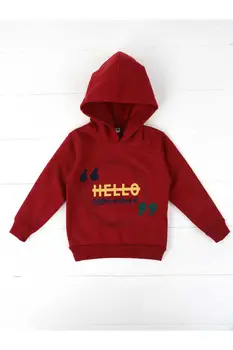 

Burgundy Seasonal Hooded Male Child Sweatshirt